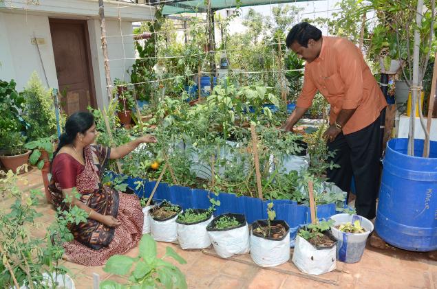 Taking Gardening To Great Heights, How To Set Up Terrace Garden In Chennai